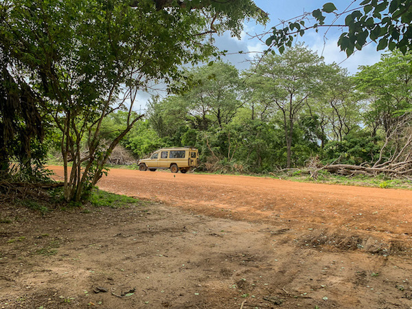 Wir landeten mitten im Busch auf unserer Safari in Tansania im Selous Game Reservat.