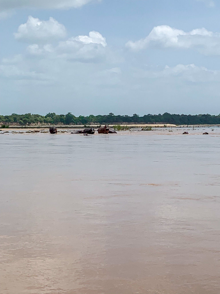 Boots auf dem Rufiji River auf der Safari in Tansania im Selous Game Reservat.-