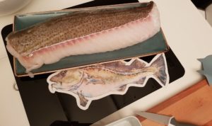 Frischer Fisch von MSC