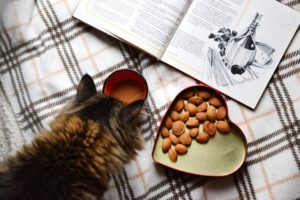 Kulinarische Büchertipps und Lesetipps. Tolle und inspirierende Bücher auf Empfehlung der Bleiche Bibliothekarin Frau Holler.