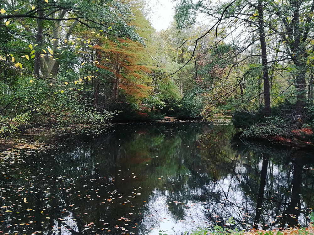 Berlin's schönste Laufstrecken